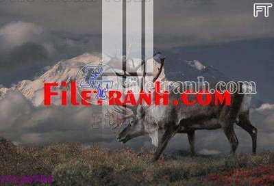 File gốc File tranh bộ hiện đại FT126754 (in lụa) cao cấp