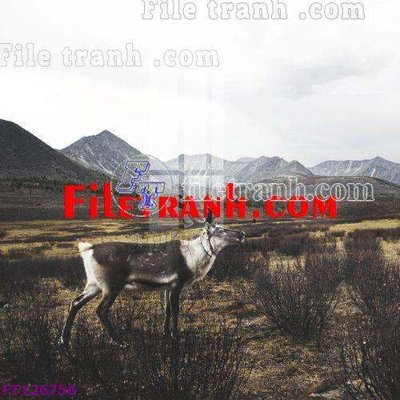 File in mica File tranh bộ hiện đại FT126756 (bản gốc) siêu trong