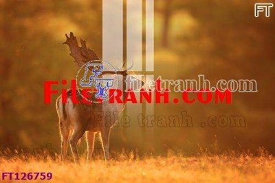 File gốc File tranh bộ hiện đại FT126759 (trang trí) phòng trẻ em