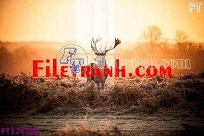 File gốc File tranh bộ hiện đại FT126760 (phiên bản chuẩn) để in ấn