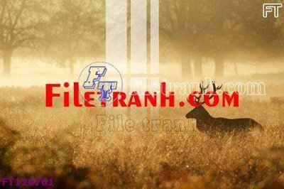 Tải file tranh gốc File tranh bộ hiện đại FT126761 chất lượng cao