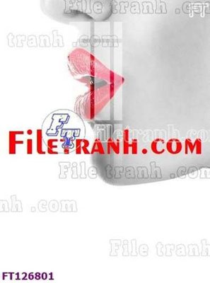File in mica File tranh bộ hiện đại FT126801 (bản gốc) làm vách ngăn