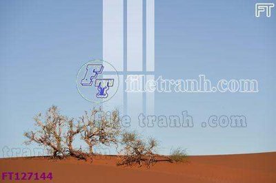 Tải file File tranh bộ hiện đại FT127144 (ảnh gốc) in tráng gương