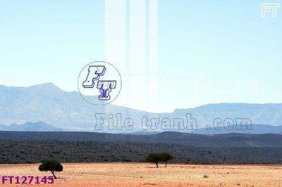 File in mica File tranh bộ hiện đại FT127145 (bản gốc) siêu trong