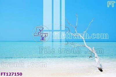 Tải file gốc File tranh bộ hiện đại FT127150 (in tráng gương) siêu đẹpFile tranh gốc File tranh bộ hiện đại FT127150 chất lượng cao