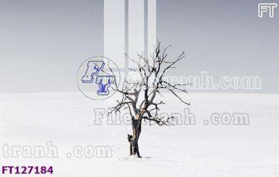 File gốc File tranh bộ hiện đại FT127184 (in lụa) cao cấp