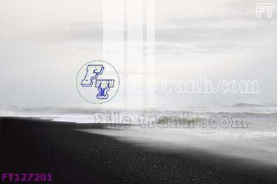 File tranh File tranh bộ hiện đại FT127201 (ảnh gốc) in trần 3D