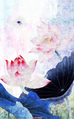 Download file gốc Tranh trang trí lối vào FT15023 (độ nét cao)