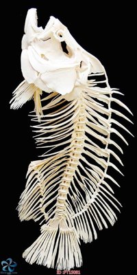 File PSD Tranh trang trí lối vào FT15081 (gốc) cho designer