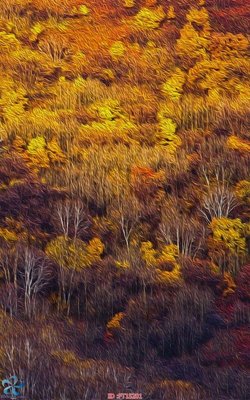 File gốc Tranh trang trí lối vào FT15201 (in lụa) tranh thuận buồm