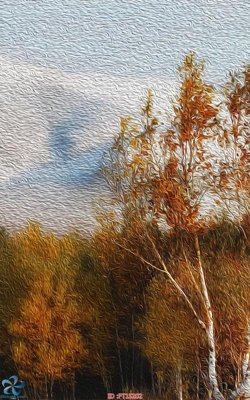 File PSD Tranh trang trí lối vào FT15202 (bản gốc) độ phân giải cao