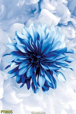 Tải file Tranh trang trí lối vào 1 tấm FT8035 (gốc) in ấn ngay lập tức