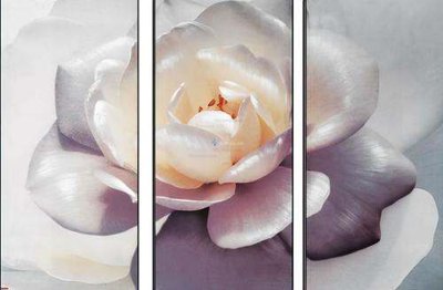 Tải file gốc File gốc in bộ tranh decor treo tráng gương canvas GB15108 (bản PSD) đầy đủ layer