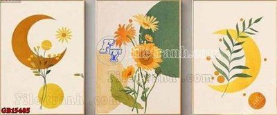 File in trần File gốc in bộ tranh decor treo tráng gương canvas GB15485 (bản gốc) hoa văn