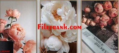 File tranh File gốc in bộ tranh decor treo tráng gương canvas GB15687 (gốc) chủ đề tĩnh vật