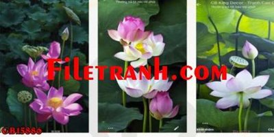 File in trần File gốc in bộ tranh decor treo tráng gương canvas GB15886 (bản gốc) bầu trời