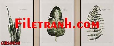 Chi tiết file tranh tráng gương File gốc in bộ tranh decor treo tráng gương canvas GB16016 (ảnh gốc)