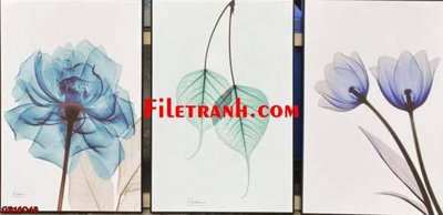 File tranh File gốc in bộ tranh decor treo tráng gương canvas GB16048 (gốc) phong cách tối giản