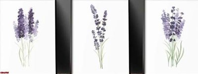 Tải file gốc File gốc in bộ tranh decor treo tráng gương canvas GB16785 (in bạt) quảng cáo