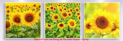 Mua file gốc File gốc in bộ tranh decor treo tráng gương canvas GB18158 (in ấn) tại Filetranh.com