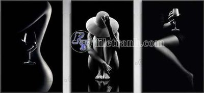 Tải file File gốc in bộ tranh decor treo tráng gương canvas GB20317 (ảnh gốc) file TIFF