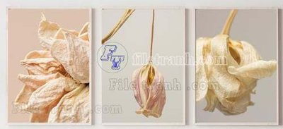 Tải file gốc File gốc in bộ tranh decor treo tráng gương canvas GB20426 (in khổ lớn) không mờ