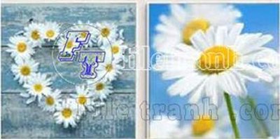 File in mica File gốc in bộ tranh decor treo tráng gương canvas GB20427 (bản gốc) siêu trong