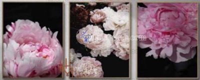 File ảnh File gốc in bộ tranh decor treo tráng gương canvas GB20473 (gốc) in PP, decal