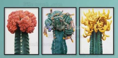 File tranh gốc File gốc in bộ tranh decor treo tráng gương canvas GB21411 (bản quyền) độc đáo