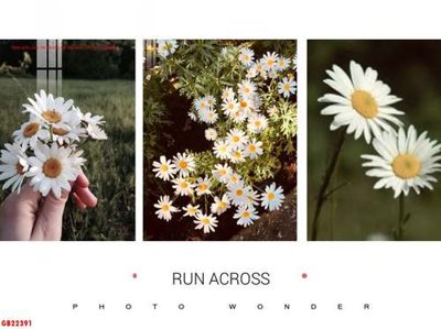 File gốc in tráng gương File gốc in bộ tranh decor treo tráng gương canvas GB22391 chi tiết