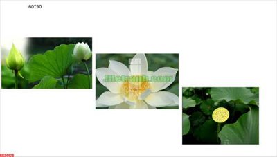 Tải file File gốc in bộ tranh decor treo tráng gương canvas GB24428 (ảnh gốc) in gạch 3D