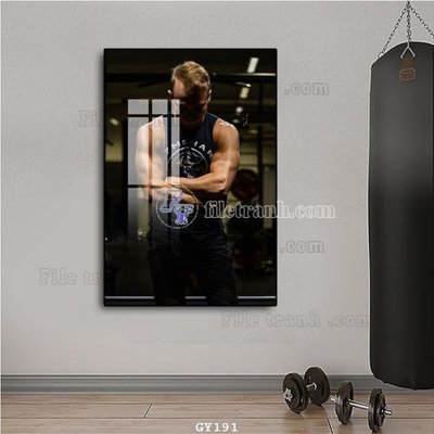 File in lụa File tranh treo phòng gym GYM191 (hoa văn) File tranh treo phòng gym GYM191