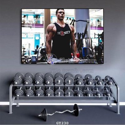File ảnh File tranh treo phòng gym GYM230 (gốc) in standee