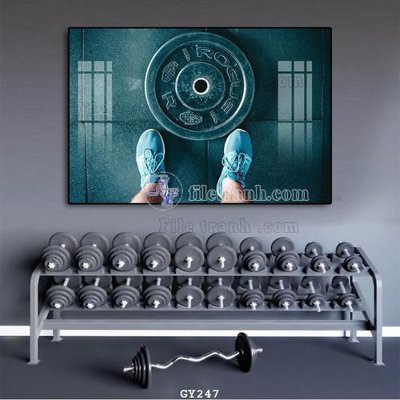 File tranh File tranh treo phòng gym GYM247 (gốc) chủ đề tĩnh vật