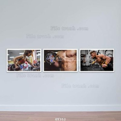 File tranh File tranh treo phòng gym GYM352 (bản gốc) in canvas
