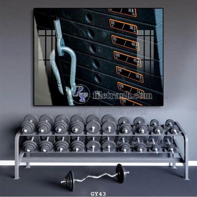 File in trần File tranh treo phòng gym GYM43 (bản gốc) phong cảnh