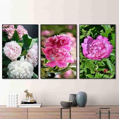 File in trần File bộ tranh treo hiện đại HD40269 (file gốc) xuyên sáng