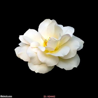 File tranh Tranh bộ hiện đại HD4443 (bản gốc) treo tường