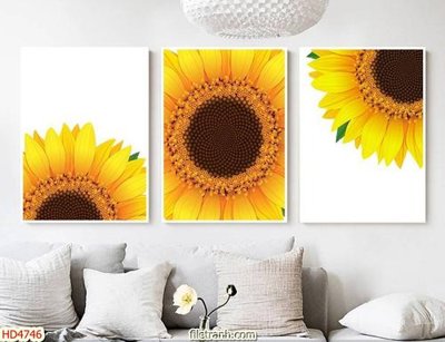 Ảnh gốc Tranh bộ hiện đại HD4746 (độ nét cao) in tráng gương