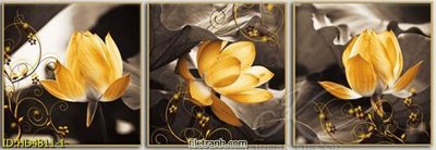 Tải file Tranh bộ hiện đại HD4811 (gốc) chủ đề hoa sen