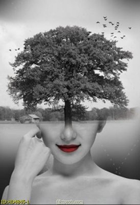 File ảnh Tranh bộ hiện đại HD4845 (gốc) cho trang trí nội thất