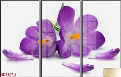 File ảnh gốc File tranh bộ hiện đại HD5307 (chuyên in mica)