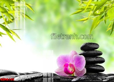Download file gốc Tranh trang trí Spa làm đẹp KSPA105 (in lụa) nghệ thuật
