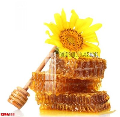 Tải xuống file tranh gốc Tranh trang trí Spa làm đẹp KSPA111 (PSD/TIFF)