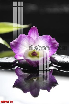 Tải file Tranh trang trí Spa làm đẹp KSPA118 (gốc) chủ đề tâm linh