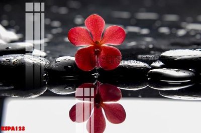 File tranh in tráng gương Tranh trang trí Spa làm đẹp KSPA123 (siêu nét)