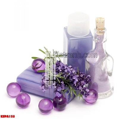 Chi tiết file tranh tráng gương Tranh trang trí Spa làm đẹp KSPA153 (ảnh gốc)