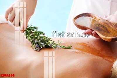 File tranh Tranh trang trí Spa làm đẹp KSPA198 (gốc) in trên kính