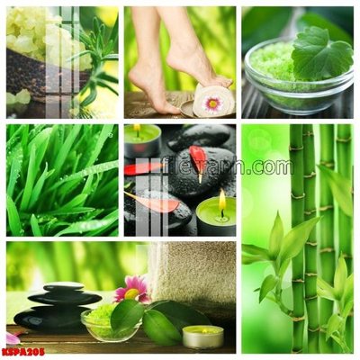 File ảnh Tranh trang trí Spa làm đẹp KSPA205 (gốc) cho trang trí nội thất