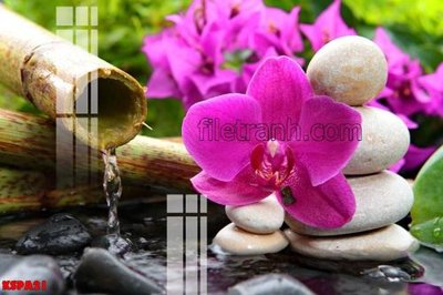 Tải file Tranh trang trí Spa làm đẹp KSPA21 (ảnh gốc) in tráng gương